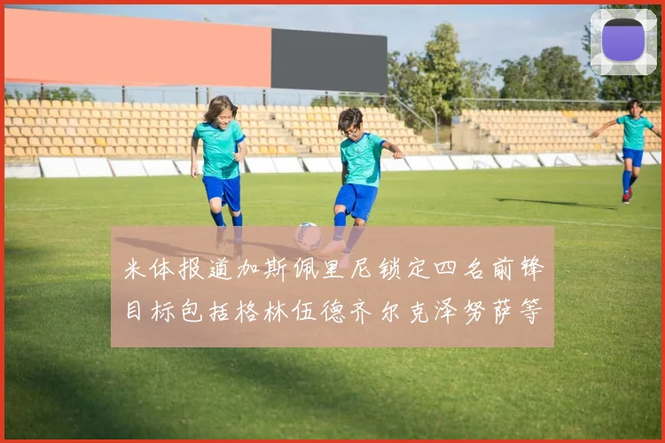 米体报道加斯佩里尼锁定四名前锋目标包括格林伍德齐尔克泽努萨等人